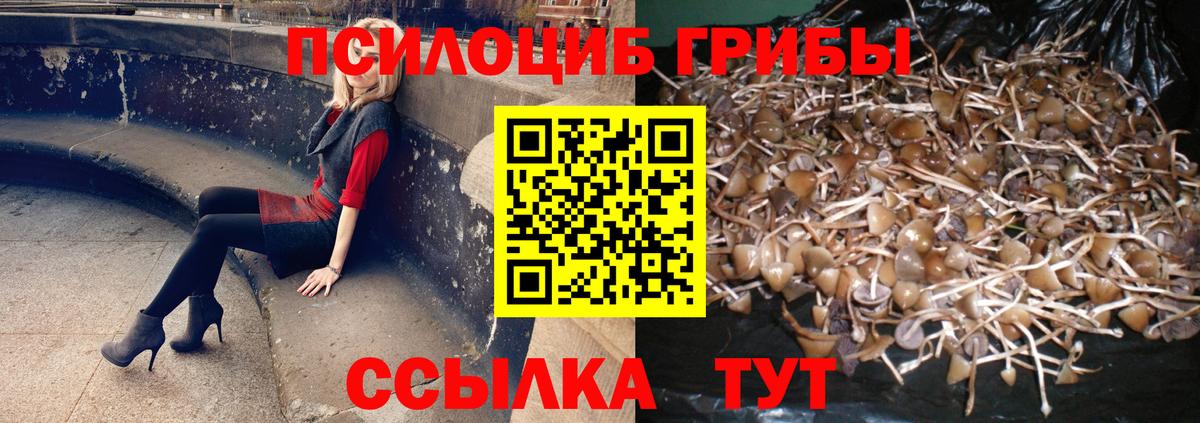 Заринск  Галлюциногенные грибы мухоморы  Вход с VPN 